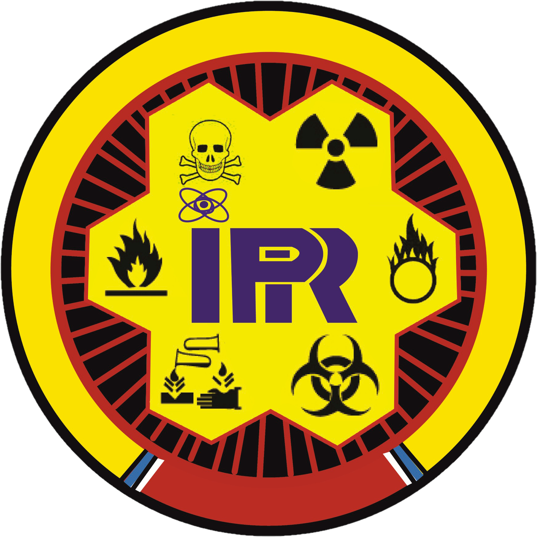 Sitio Cursos Moodle IPR